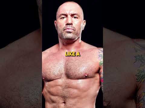 Joe Rogan's INSANE Striking!