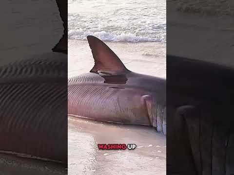 Signs of a Man-Made Disaster Are Everywhere!