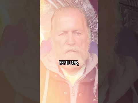 What Is the Purpose of the Reptilians?